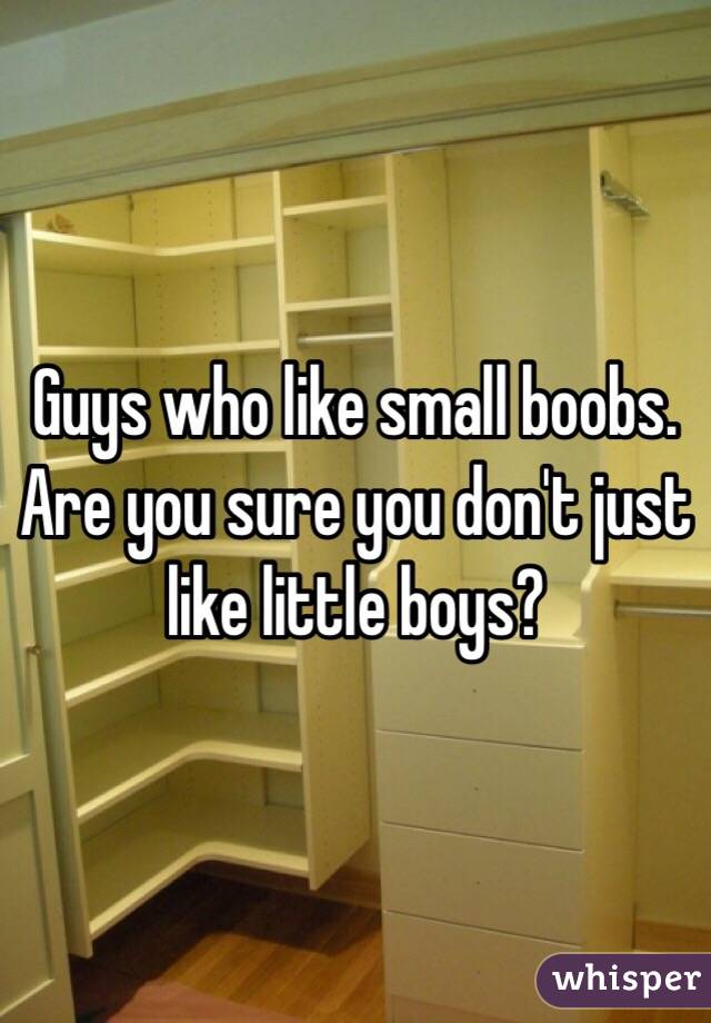 Guys who like small boobs. Are you sure you don't just like little boys?
