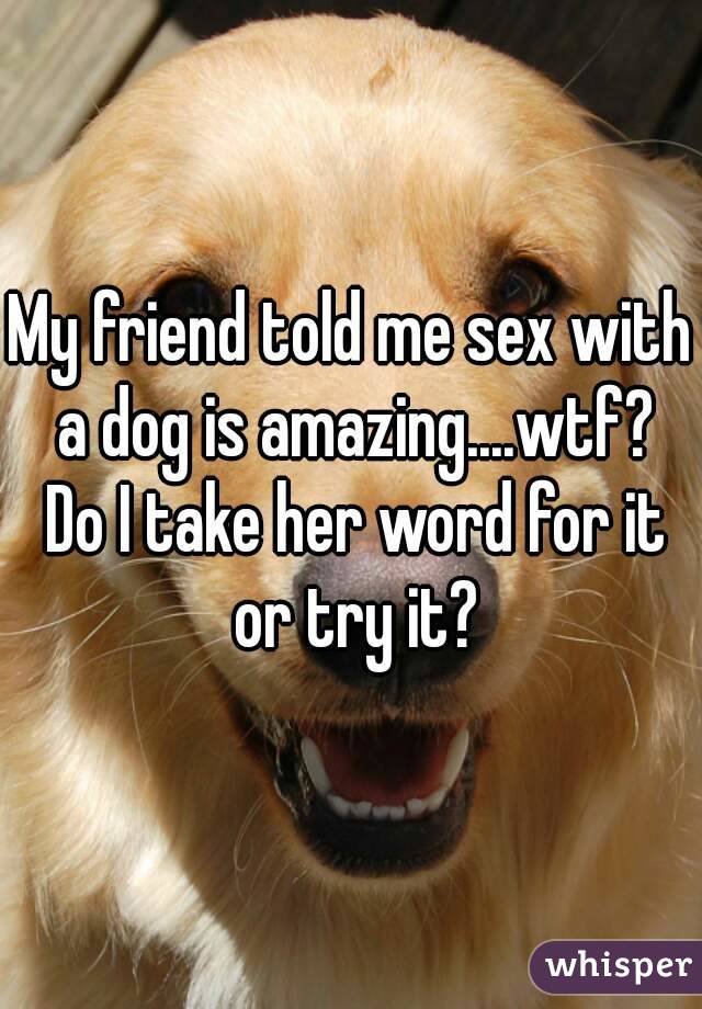 My friend told me sex with a dog is amazing....wtf? Do I take her word for it or try it?