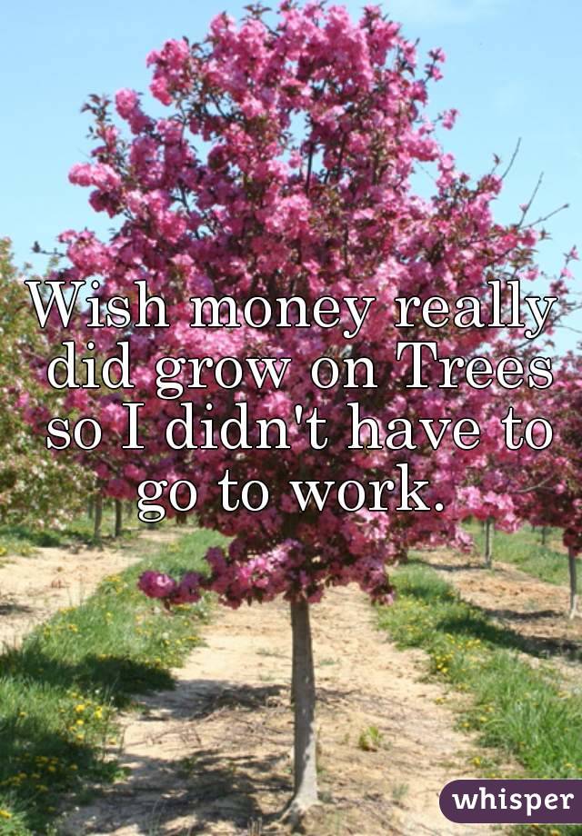 Wish money really did grow on Trees so I didn't have to go to work. 