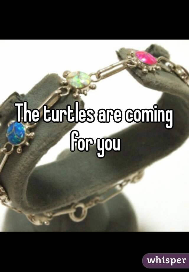 The turtles are coming for you