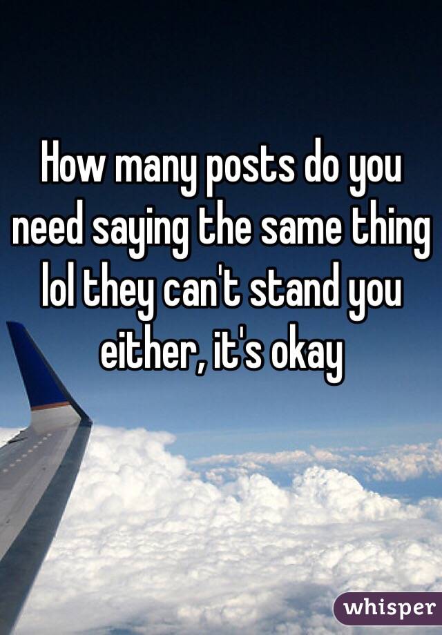 How many posts do you need saying the same thing lol they can't stand you either, it's okay 