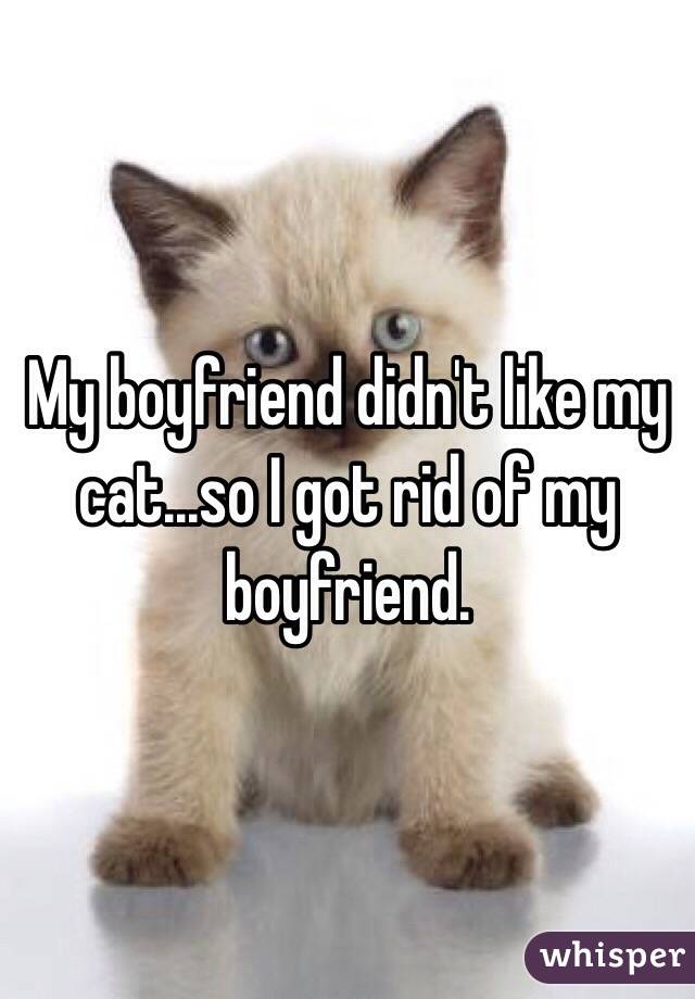 My boyfriend didn't like my cat...so I got rid of my boyfriend. 
