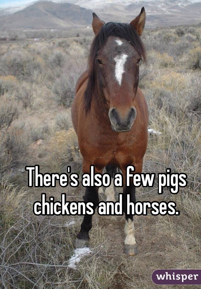 There's also a few pigs chickens and horses.