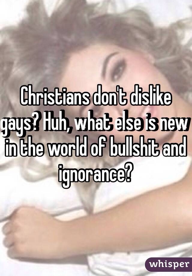 Christians don't dislike gays? Huh, what else is new in the world of bullshit and ignorance?