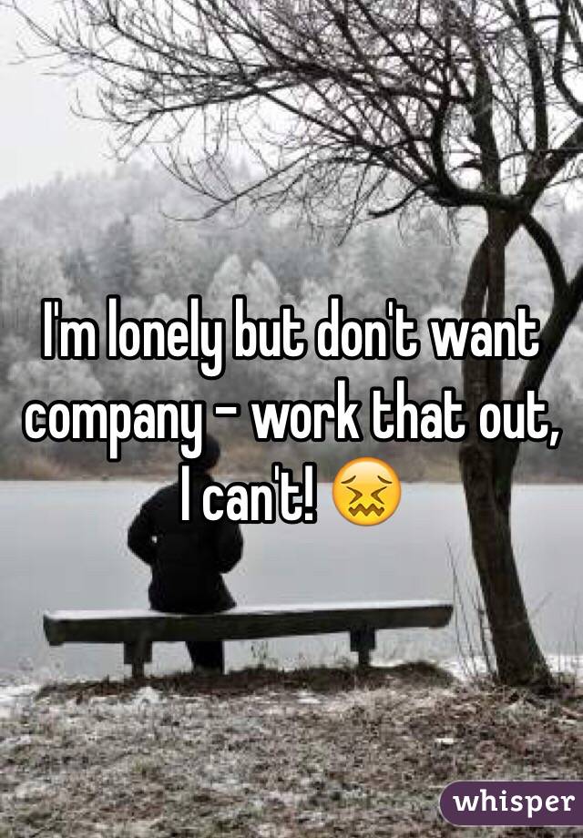I'm lonely but don't want company - work that out, I can't! 😖