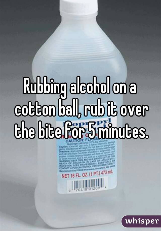 Rubbing alcohol on a cotton ball, rub it over the bite for 5 minutes.