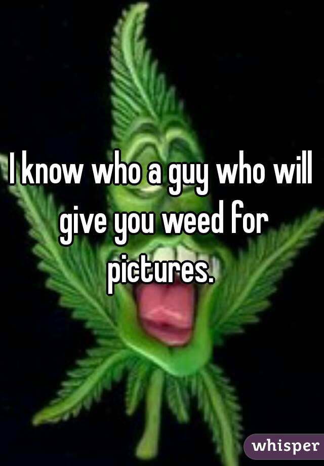 I know who a guy who will give you weed for pictures. 
