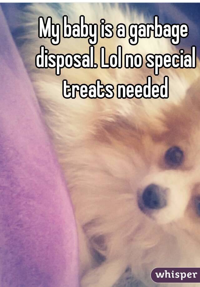 My baby is a garbage disposal. Lol no special treats needed