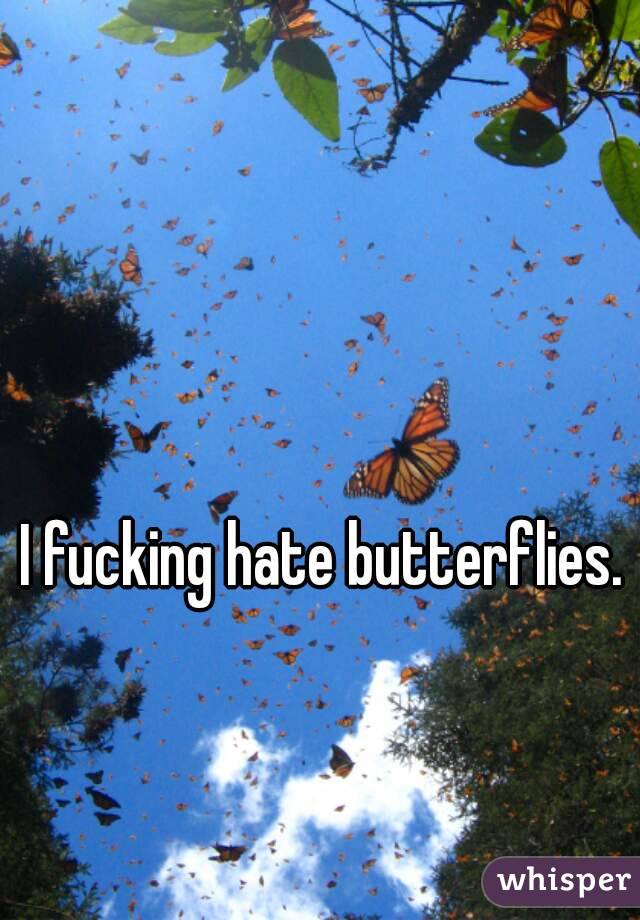 I fucking hate butterflies.