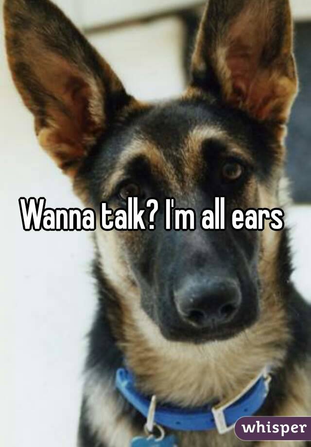Wanna talk? I'm all ears 
