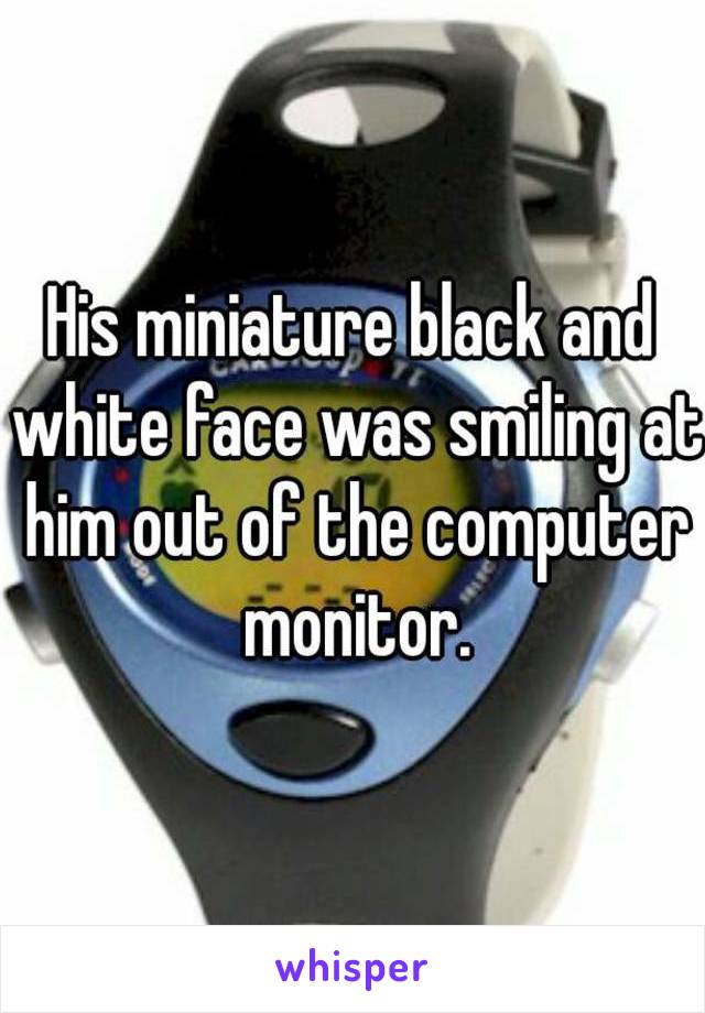 His miniature black and white face was smiling at him out of the computer monitor.