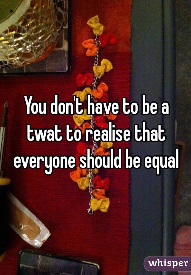 You don't have to be a twat to realise that everyone should be equal 
