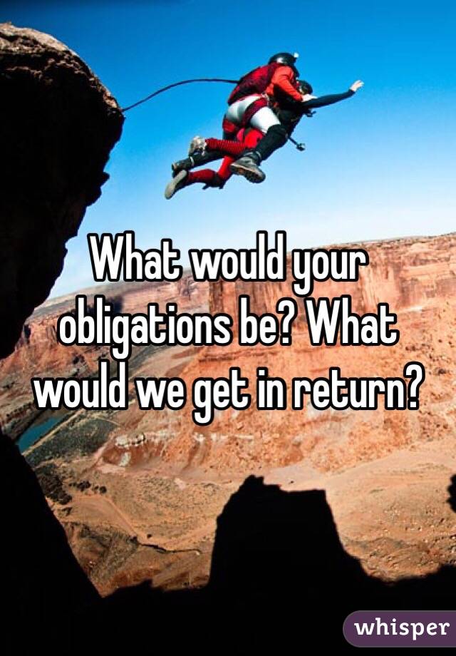 What would your obligations be? What would we get in return?