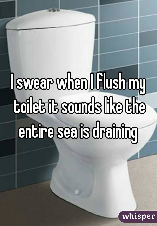I swear when I flush my toilet it sounds like the entire sea is draining 