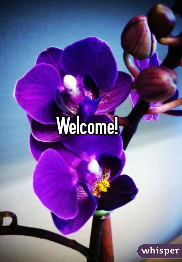 Welcome!  