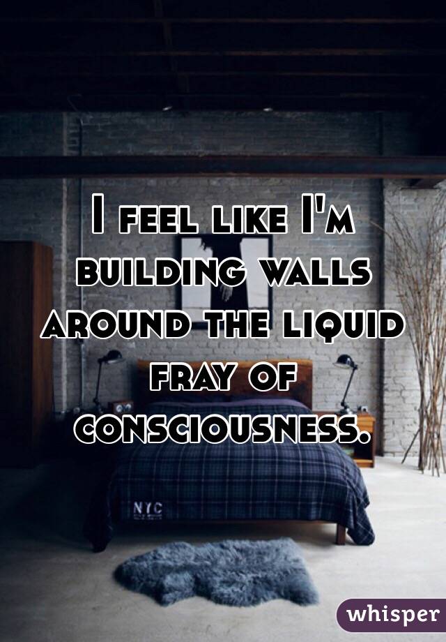 I feel like I'm building walls around the liquid fray of consciousness. 
