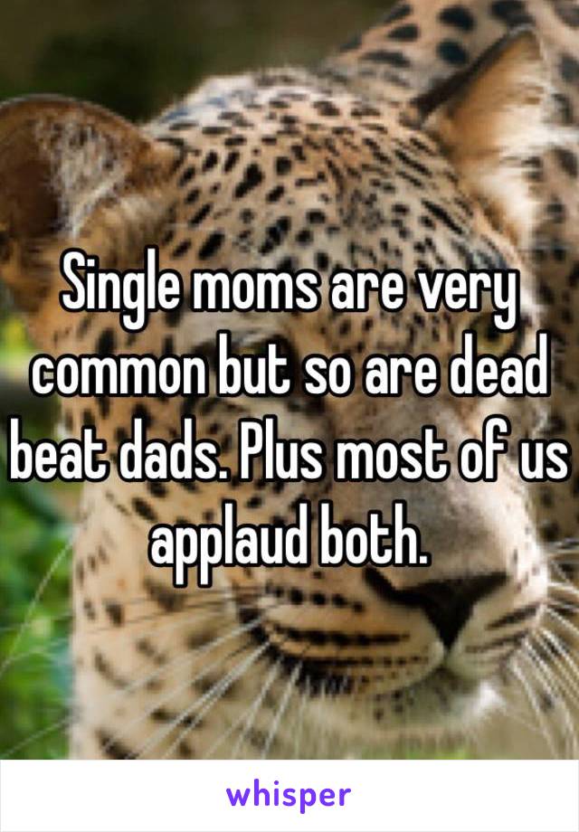 Single moms are very common but so are dead beat dads. Plus most of us applaud both. 