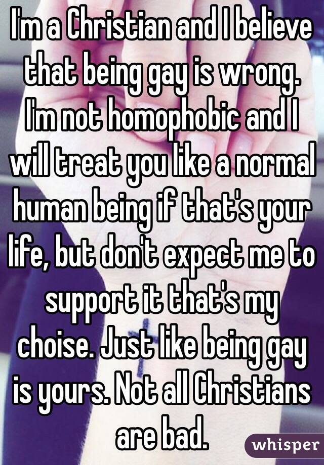 Being Gay Is Bad 94