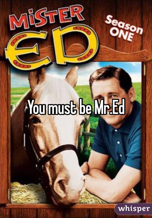 You must be Mr.Ed