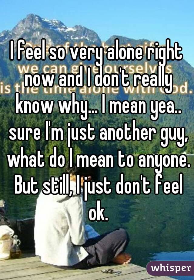 I feel so very alone right now and I don't really know why... I mean yea.. sure I'm just another guy, what do I mean to anyone. But still, I just don't feel ok.