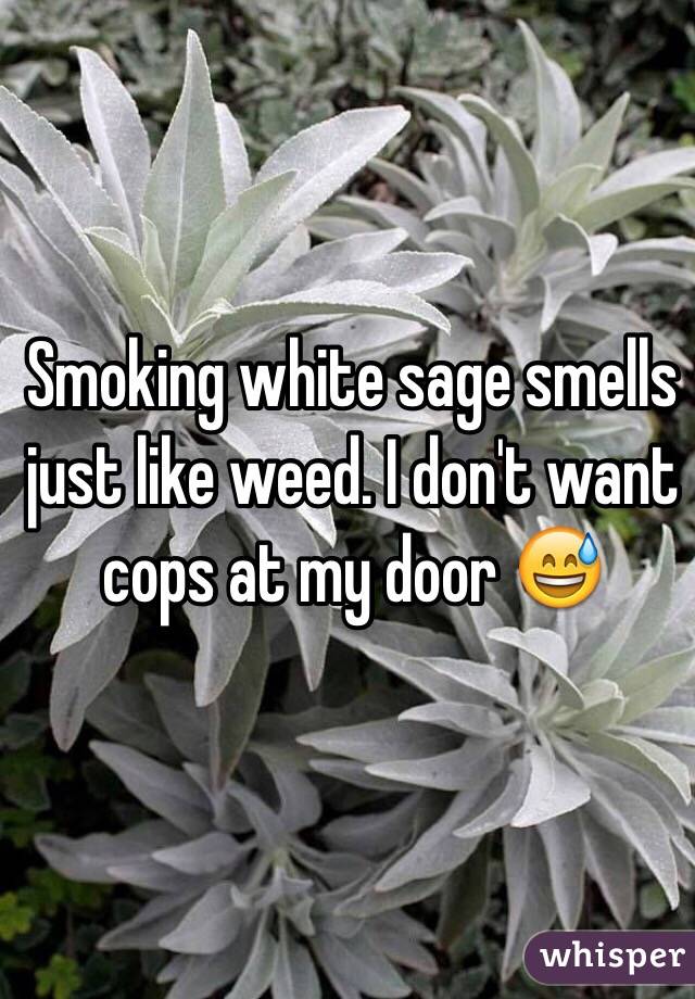 Smoking white sage smells just like weed. I don't want cops at my door 😅