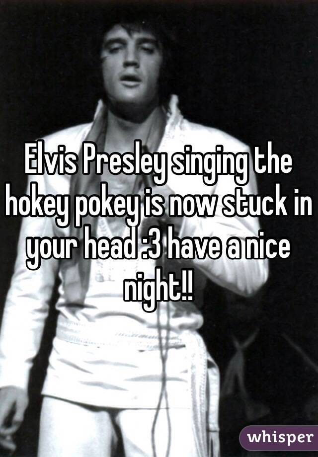 Elvis Presley singing the hokey pokey is now stuck in your head :3 have a nice night!!
