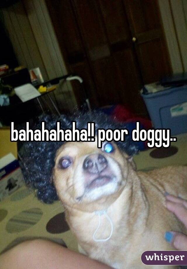 bahahahaha!! poor doggy..