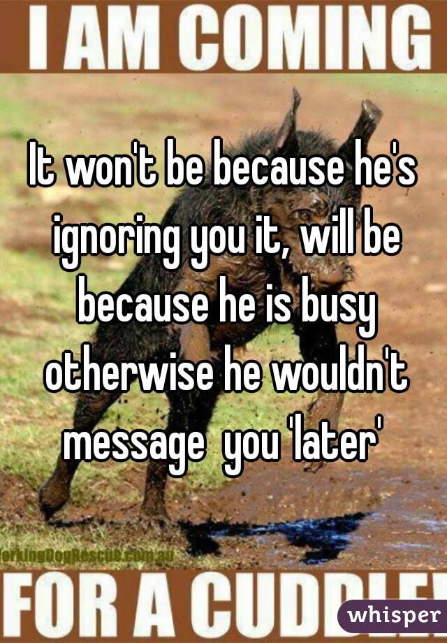 It won't be because he's ignoring you it, will be because he is busy otherwise he wouldn't message  you 'later' 