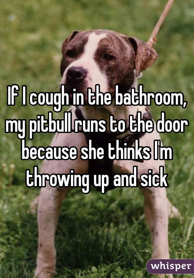 If I cough in the bathroom, my pitbull runs to the door because she thinks I'm throwing up and sick 