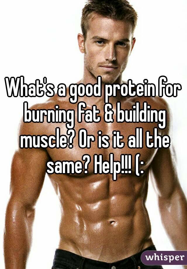 what-s-a-good-protein-for-burning-fat-building-muscle-or-is-it-all