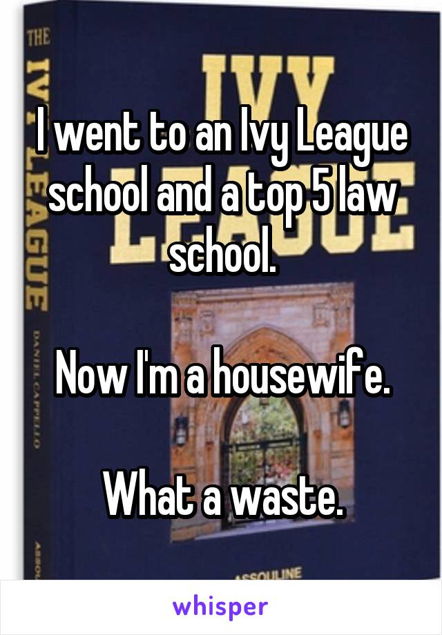 I went to an Ivy League school and a top 5 law school.

Now I'm a housewife.

What a waste.