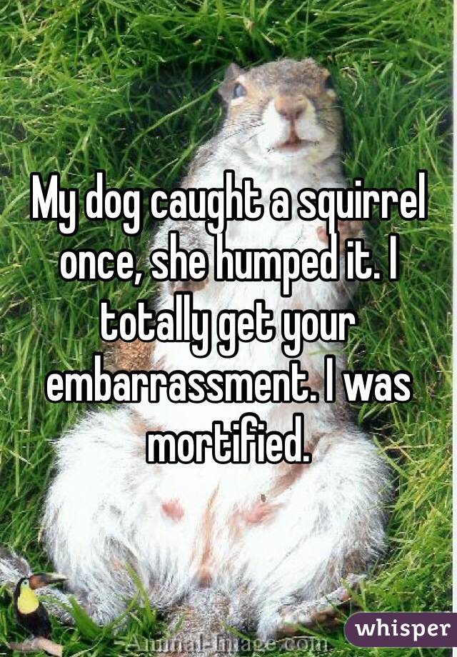 My dog caught a squirrel once, she humped it. I totally get your embarrassment. I was mortified.
