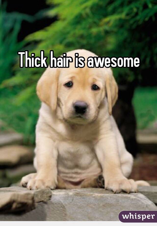 Thick hair is awesome