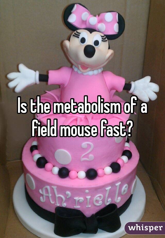 Is the metabolism of a field mouse fast? 