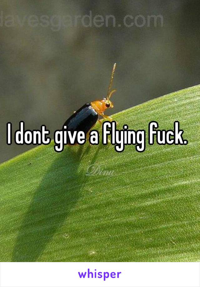 I dont give a flying fuck. 
