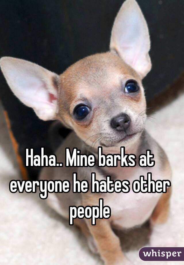 Haha.. Mine barks at everyone he hates other people