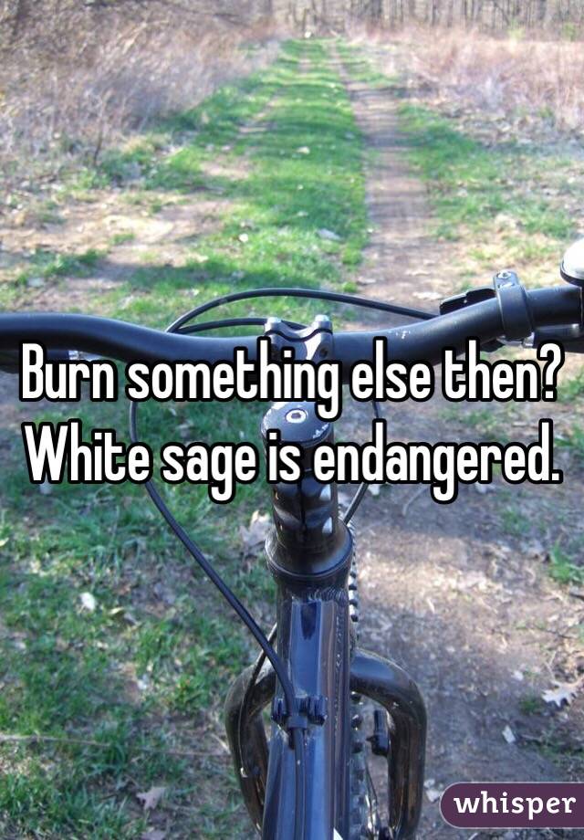 Burn something else then? White sage is endangered.