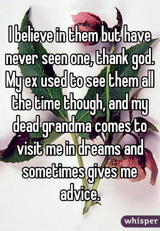 I believe in them but have never seen one, thank god. My ex used to see them all the time though, and my dead grandma comes to visit me in dreams and sometimes gives me advice.