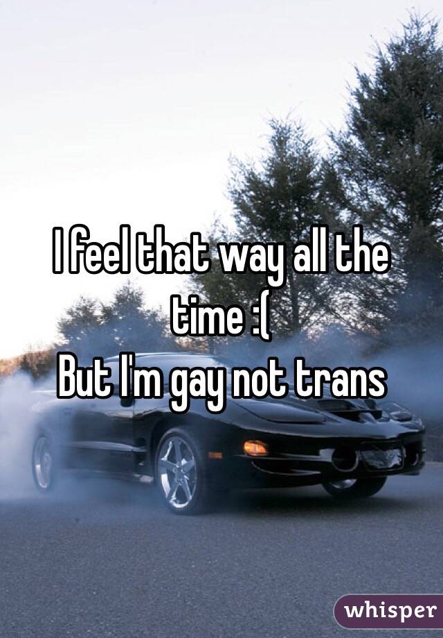 I feel that way all the time :(
But I'm gay not trans