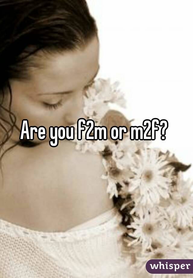 Are you f2m or m2f? 