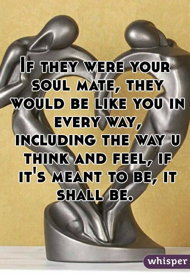 If they were your soul mate, they would be like you in every way, including the way u think and feel, if it's meant to be, it shall be. 