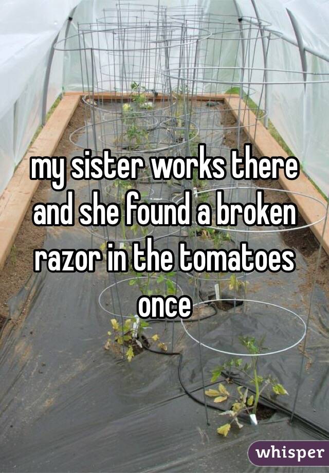 my sister works there and she found a broken razor in the tomatoes once