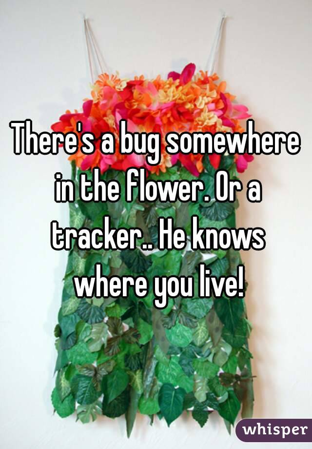 There's a bug somewhere in the flower. Or a tracker.. He knows where you live!