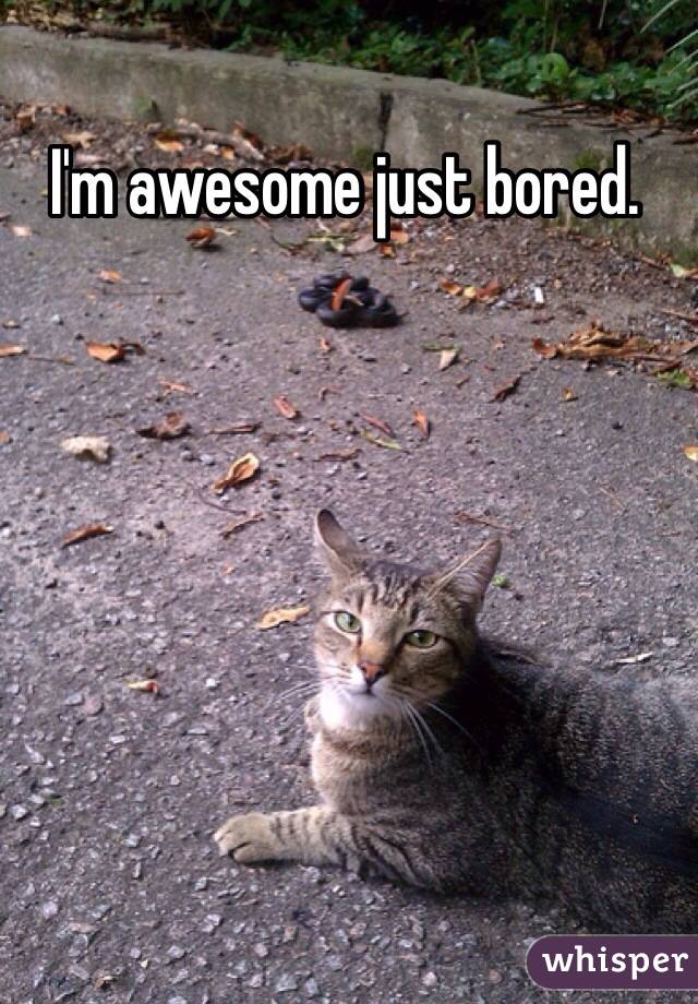 I'm awesome just bored.