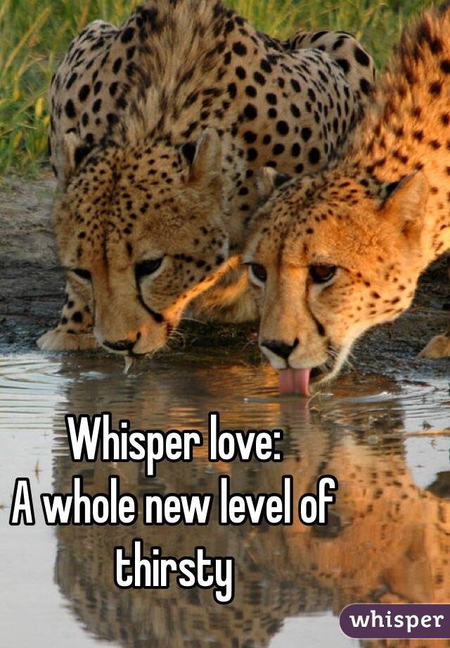 Whisper love:
A whole new level of thirsty