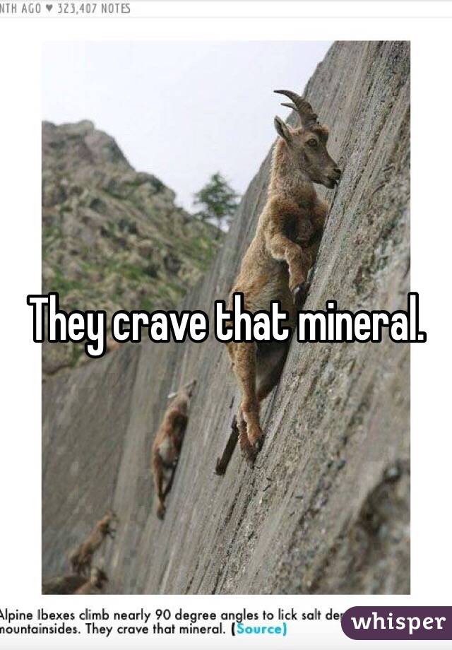 They crave that mineral. 