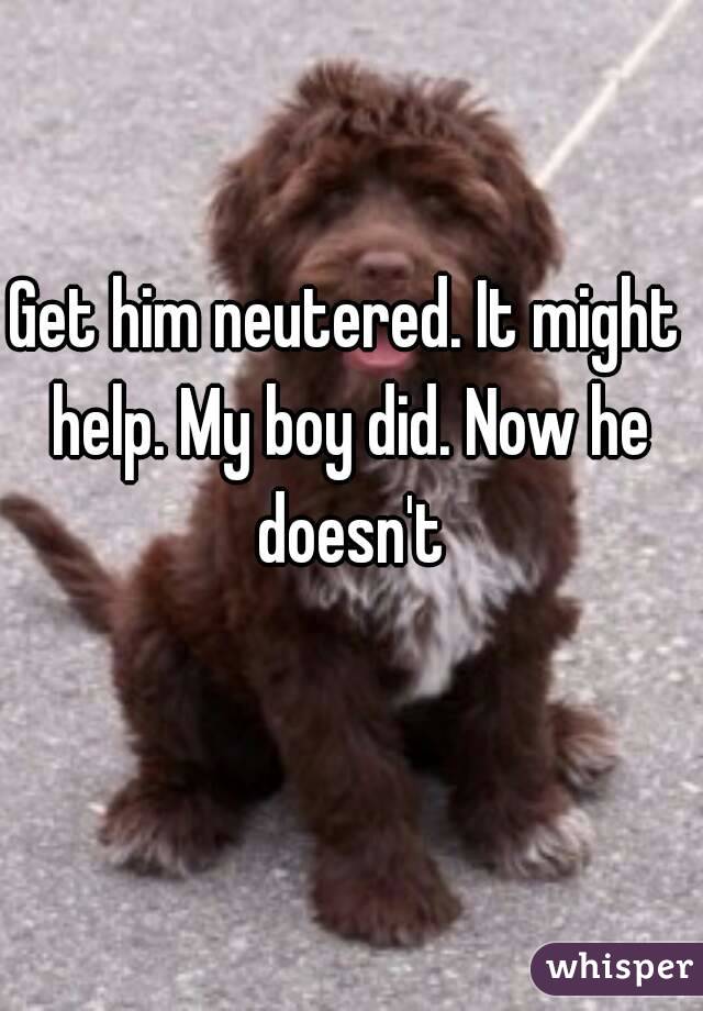 Get him neutered. It might help. My boy did. Now he doesn't