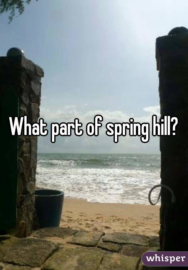 What part of spring hill?