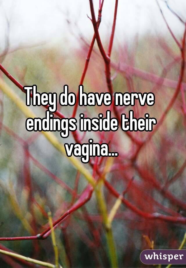 They do have nerve endings inside their vagina...