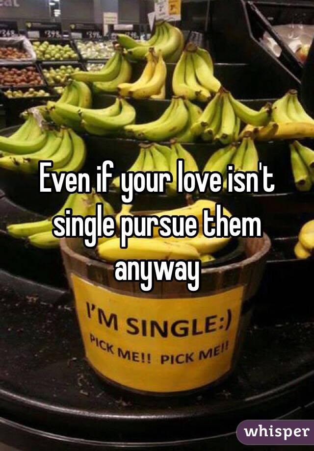 Even if your love isn't single pursue them anyway 
